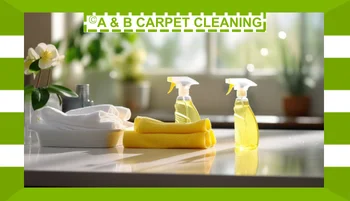 How to Use Carpet Odor Remover